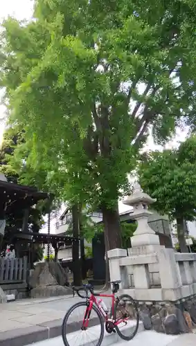 隅田稲荷神社の自然