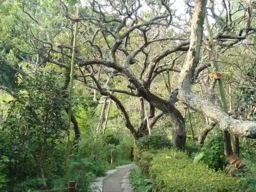 瑞泉寺の庭園