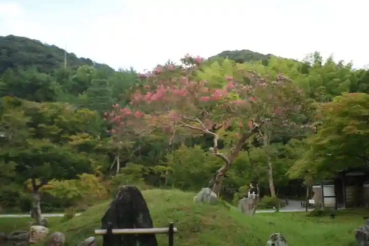 高台寺(高台寿聖禅寺・高臺寺)(京都府)