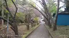 常陸第三宮　吉田神社の建物その他