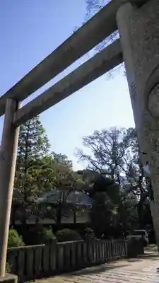 根津神社の鳥居