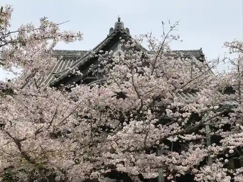金剛宝寺（紀三井寺）の自然