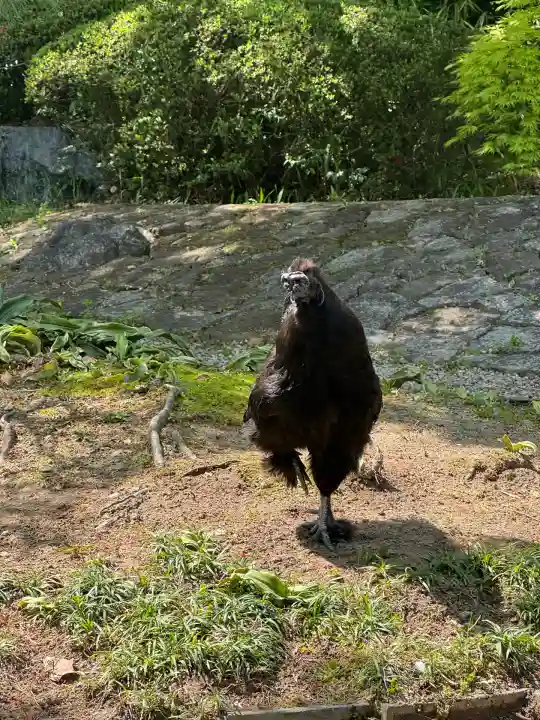 熱田神宮(愛知県)