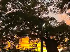 白鳥神社(長野県)