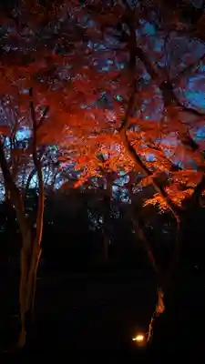 賀茂御祖神社（下鴨神社）(京都府)
