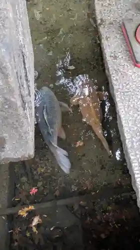 石山寺(滋賀県)