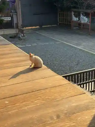 大報恩寺（千本釈迦堂）(京都府)