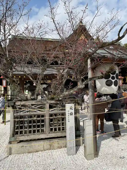 北野天満宮(京都府)