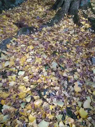 本山寺(大阪府)