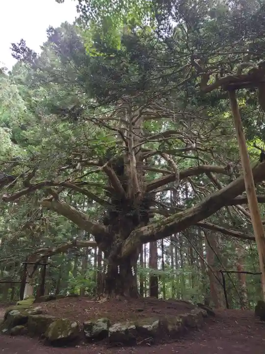 真山神社の自然
