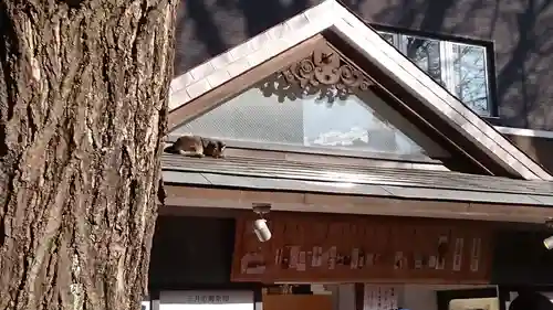 小野照崎神社(東京都)