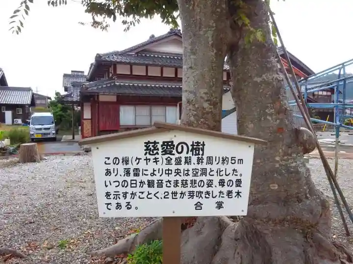 西野薬師堂(滋賀県)