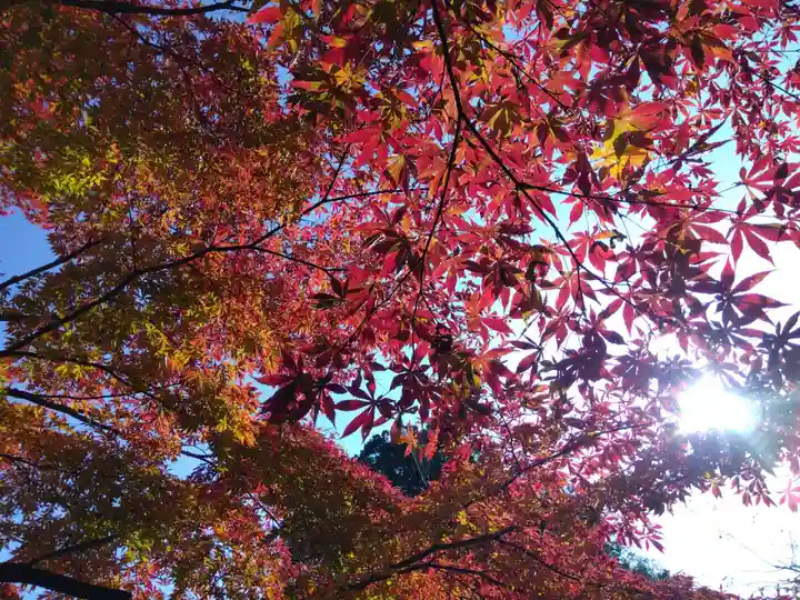 足羽神社(福井県)