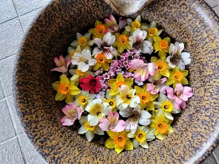 美瑛神社の手水舎