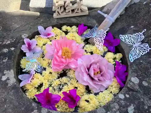 真言宗　善通寺派　薬王寺(香川県)