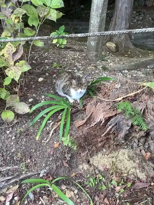 玉野御嶽神社の動物