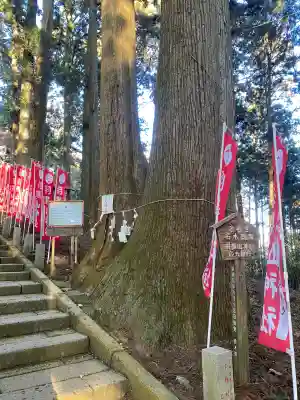 羽黒山神社(栃木県)