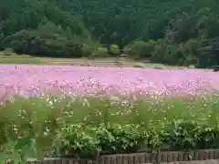 達身寺(兵庫県)