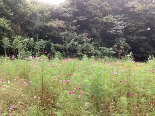 結縁寺(千葉県)