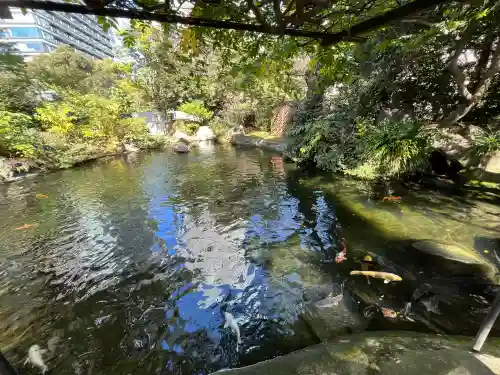 愛宕神社の動物