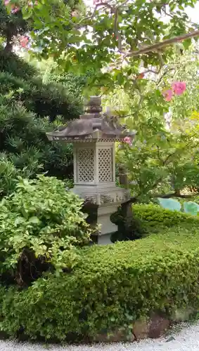 浄性院の庭園