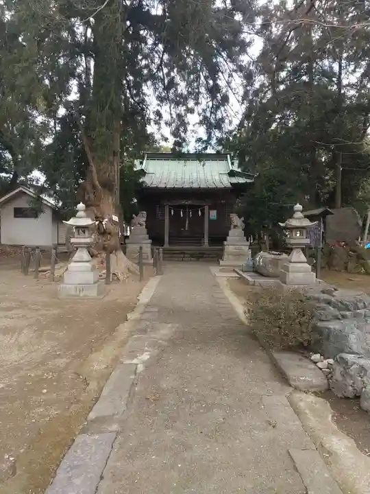 飯泉八幡神社の本殿・本堂