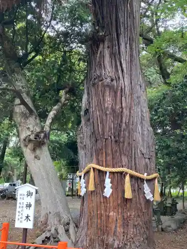 息栖神社の自然