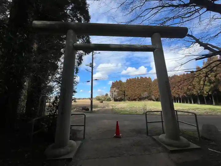 縣神社(千葉県)