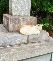 息栖神社(茨城県)