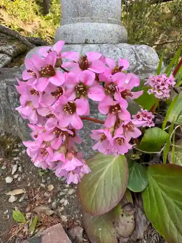 隠津島神社(福島県)
