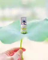 浄土寺(兵庫県)