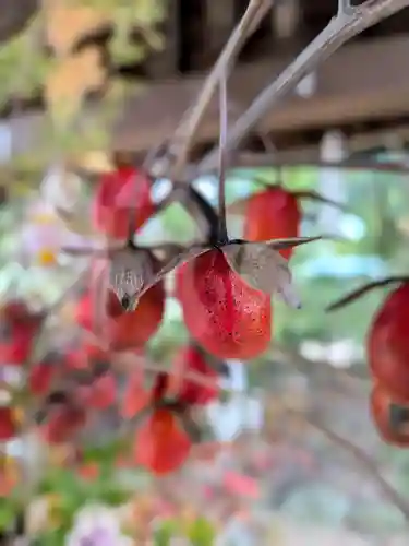 赤坂氷川神社(東京都)