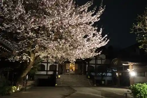 感通寺のその他建物