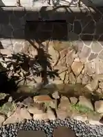 東京大神宮(東京都)