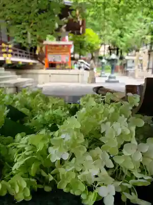 熊野神社(東京都)