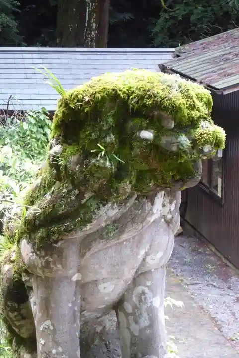 與喜天満神社の狛犬
