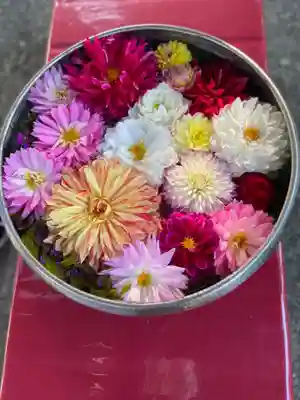 上野東照宮の手水舎