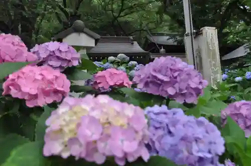 妙楽寺の庭園