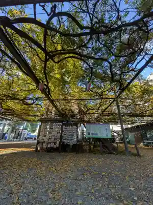 國領神社(東京都)