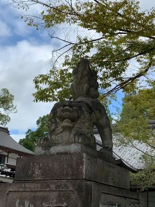 藤森神社の狛犬