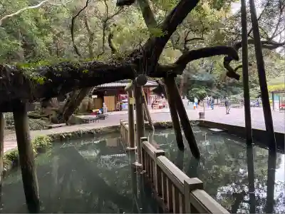 鹿島神宮(茨城県)