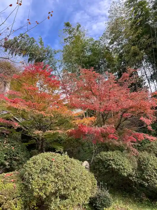 岩角山 岩角寺(福島県)