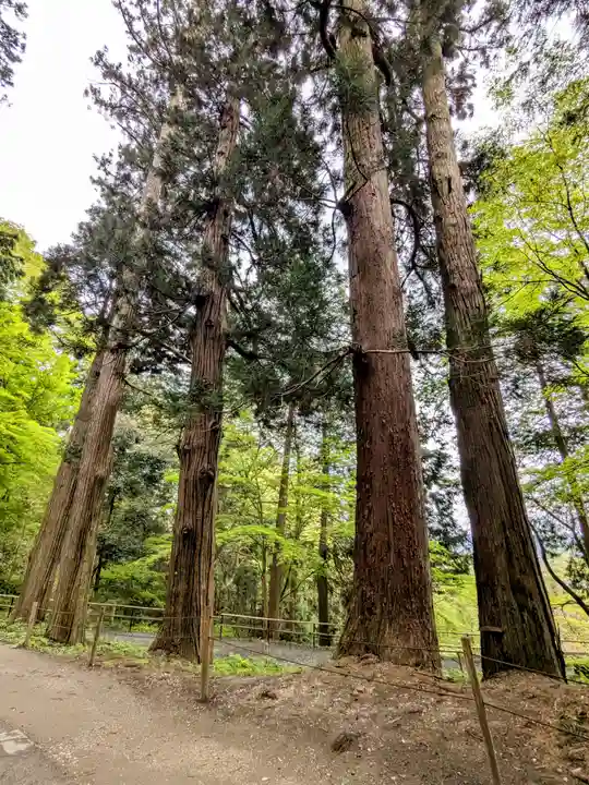 中尊寺(岩手県)