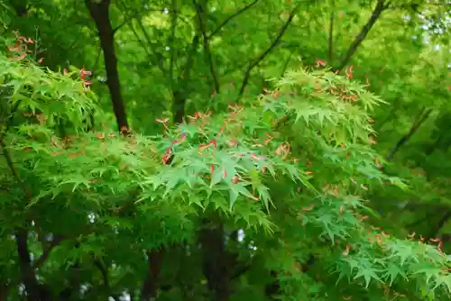 廣籏八幡宮(山口県)