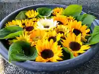 鹿島台神社の手水舎