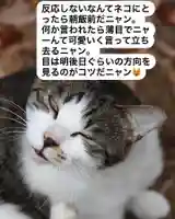 専念寺(大阪府)