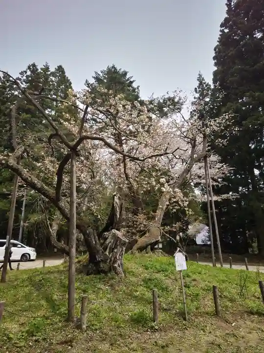 磐椅神社(福島県)