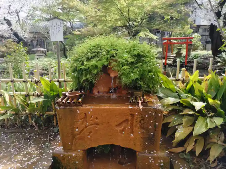 瀧泉寺(目黒不動尊)の体験その他