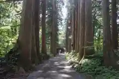 戸隠神社奥社の建物その他