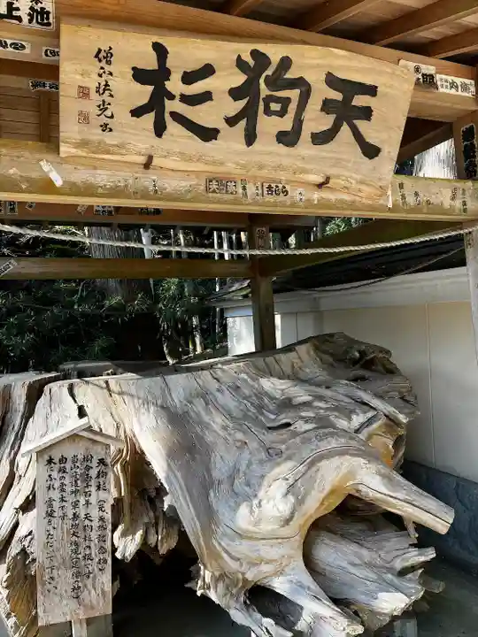 目の霊山 油山寺(静岡県)